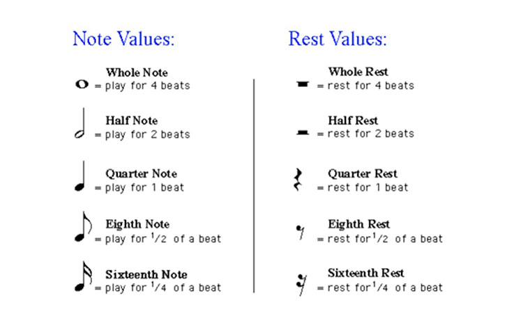beginner-guitar-theory