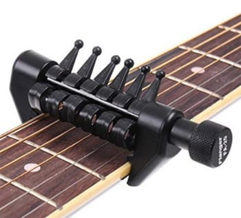 spider capo