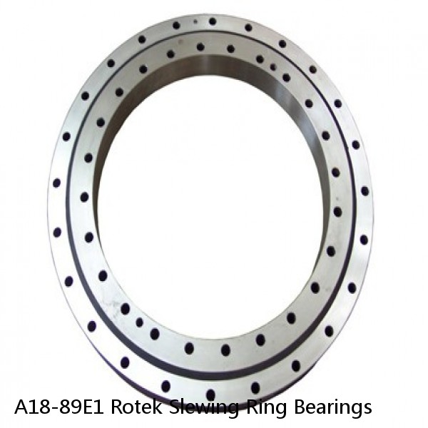 A18-89E1 Rotek Slewing Ring Bearings