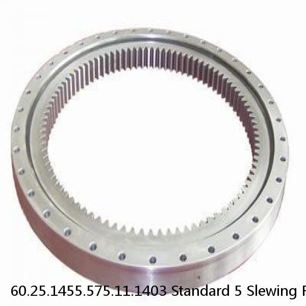 60.25.1455.575.11.1403 Standard 5 Slewing Ring Bearings