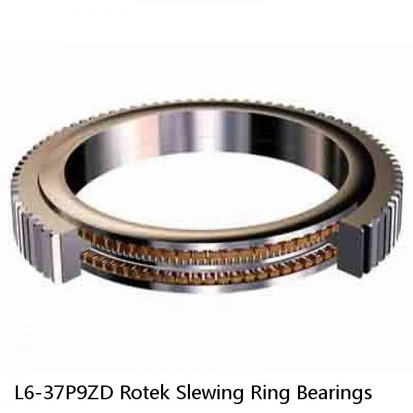 L6-37P9ZD Rotek Slewing Ring Bearings