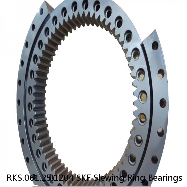 RKS.061.25.1204 SKF Slewing Ring Bearings