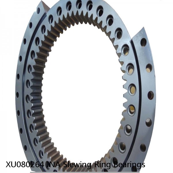 XU080264 INA Slewing Ring Bearings