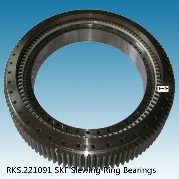 RKS.221091 SKF Slewing Ring Bearings