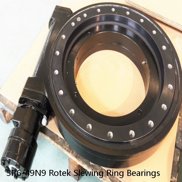 3R6-49N9 Rotek Slewing Ring Bearings