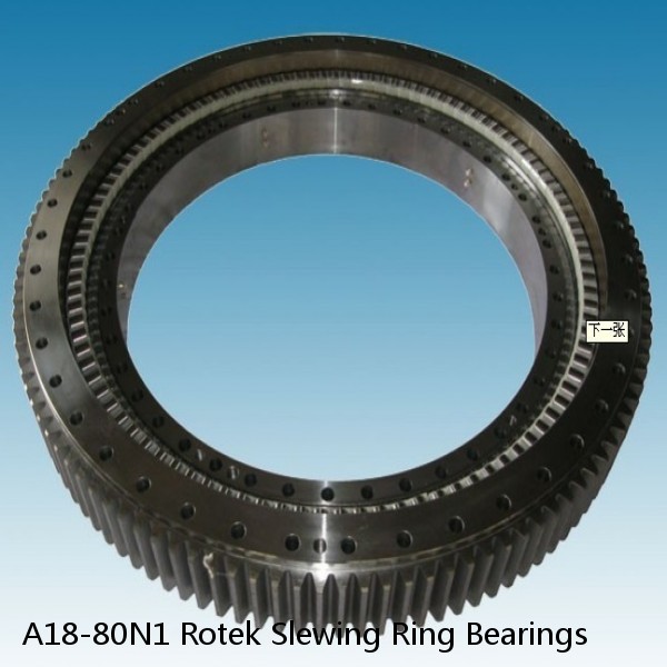 A18-80N1 Rotek Slewing Ring Bearings