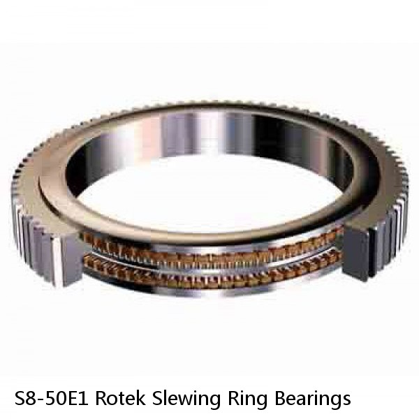 S8-50E1 Rotek Slewing Ring Bearings