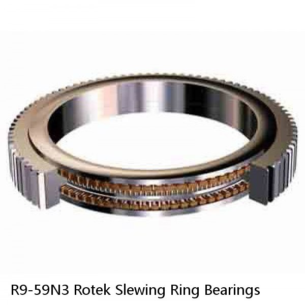 R9-59N3 Rotek Slewing Ring Bearings