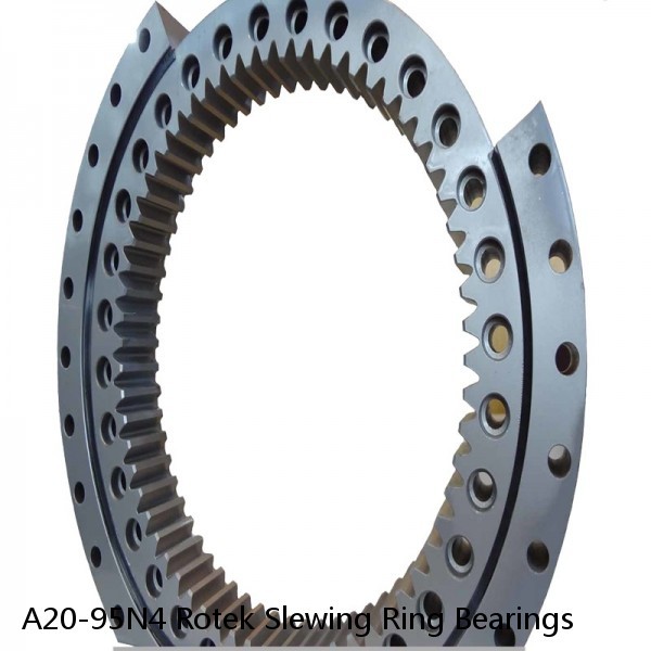 A20-95N4 Rotek Slewing Ring Bearings