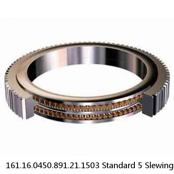 161.16.0450.891.21.1503 Standard 5 Slewing Ring Bearings