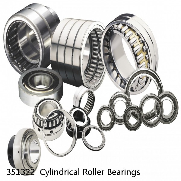 351322  Cylindrical Roller Bearings