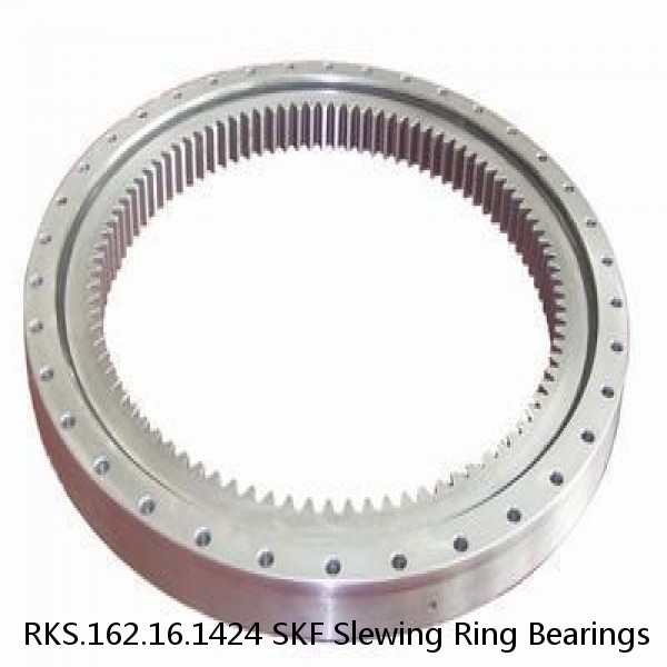 RKS.162.16.1424 SKF Slewing Ring Bearings