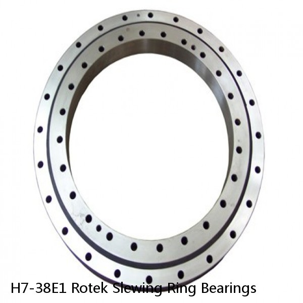 H7-38E1 Rotek Slewing Ring Bearings