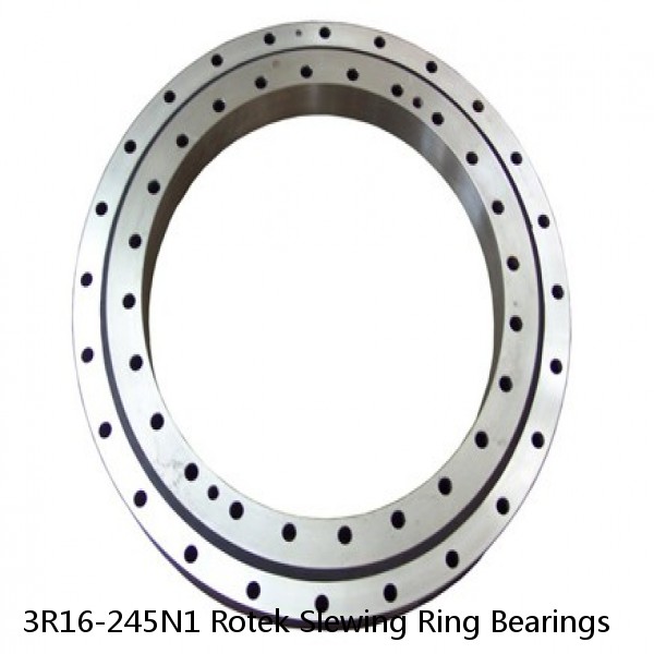 3R16-245N1 Rotek Slewing Ring Bearings