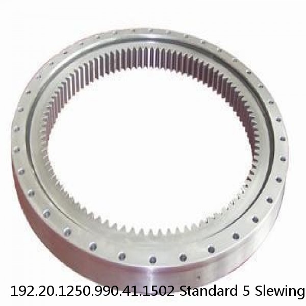 192.20.1250.990.41.1502 Standard 5 Slewing Ring Bearings