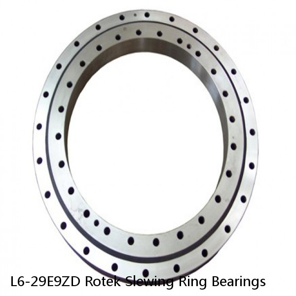 L6-29E9ZD Rotek Slewing Ring Bearings