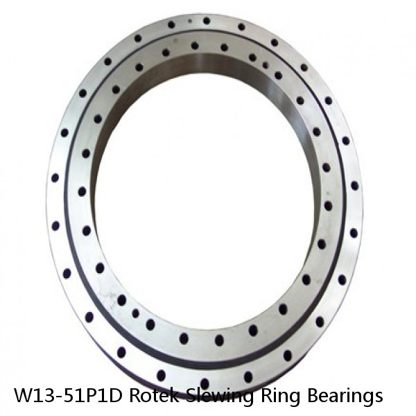 W13-51P1D Rotek Slewing Ring Bearings