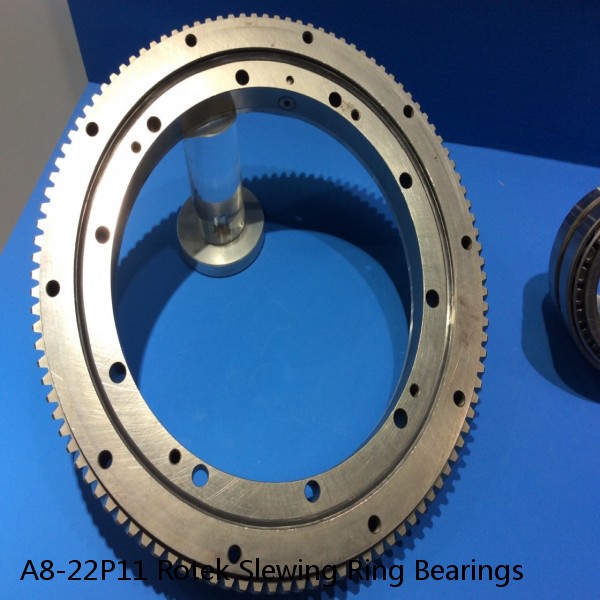 A8-22P11 Rotek Slewing Ring Bearings