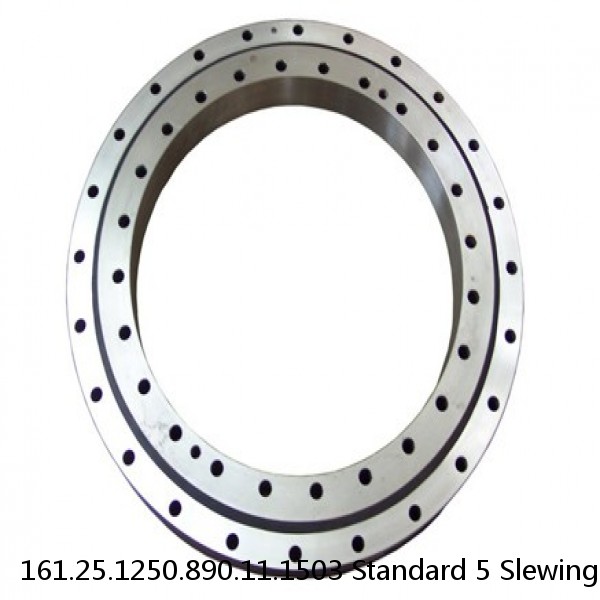 161.25.1250.890.11.1503 Standard 5 Slewing Ring Bearings