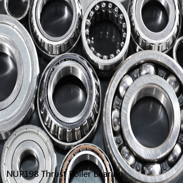 NUP198 Thrust Roller Bearing