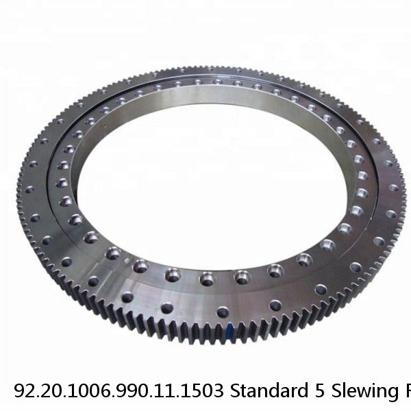 92.20.1006.990.11.1503 Standard 5 Slewing Ring Bearings