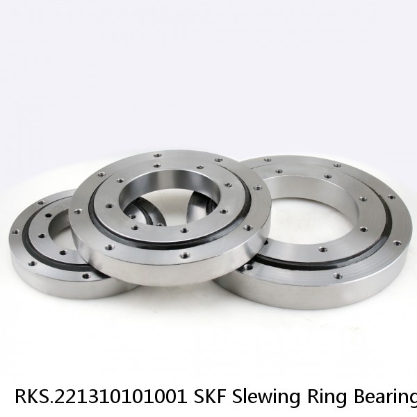 RKS.221310101001 SKF Slewing Ring Bearings