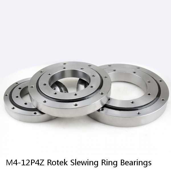 M4-12P4Z Rotek Slewing Ring Bearings