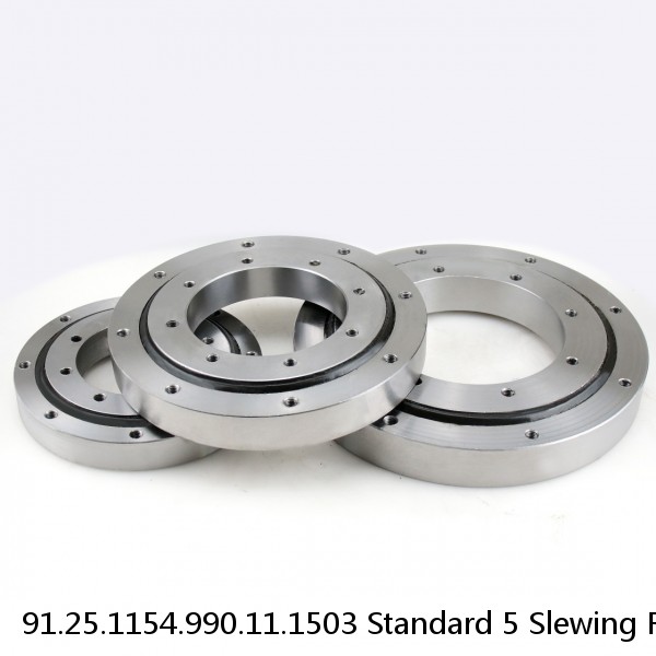 91.25.1154.990.11.1503 Standard 5 Slewing Ring Bearings