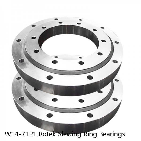 W14-71P1 Rotek Slewing Ring Bearings