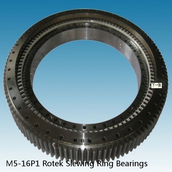 M5-16P1 Rotek Slewing Ring Bearings