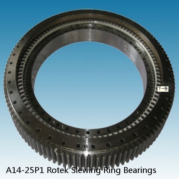 A14-25P1 Rotek Slewing Ring Bearings