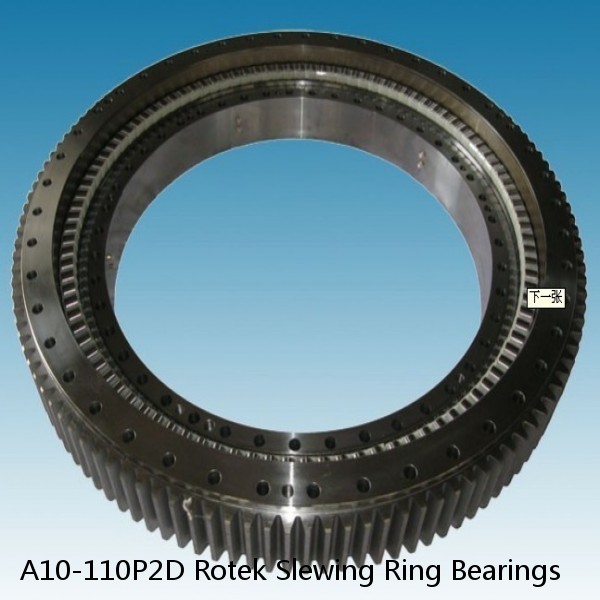 A10-110P2D Rotek Slewing Ring Bearings