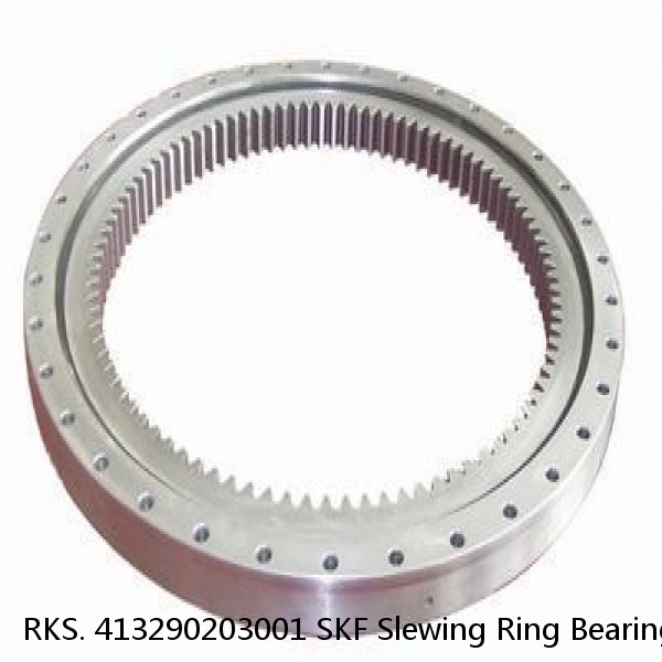 RKS. 413290203001 SKF Slewing Ring Bearings