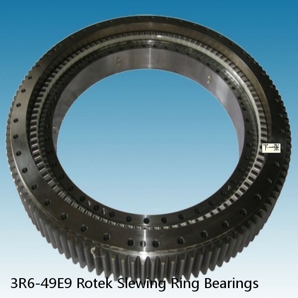 3R6-49E9 Rotek Slewing Ring Bearings