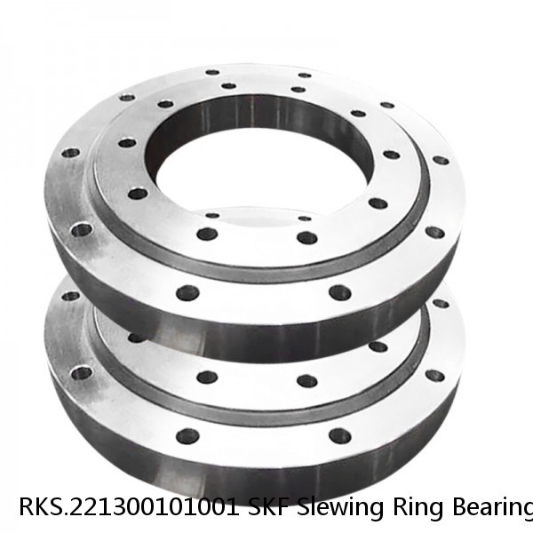 RKS.221300101001 SKF Slewing Ring Bearings