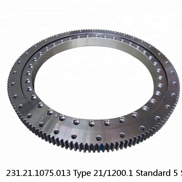 231.21.1075.013 Type 21/1200.1 Standard 5 Slewing Ring Bearings