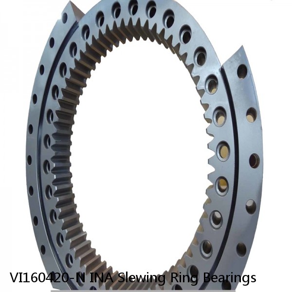 VI160420-N INA Slewing Ring Bearings