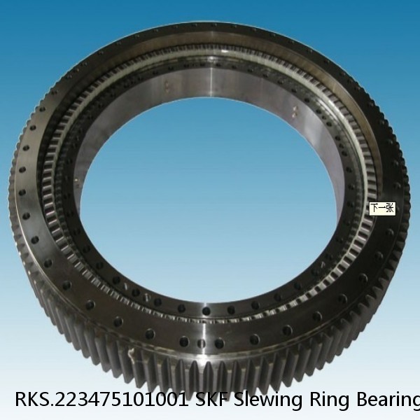 RKS.223475101001 SKF Slewing Ring Bearings