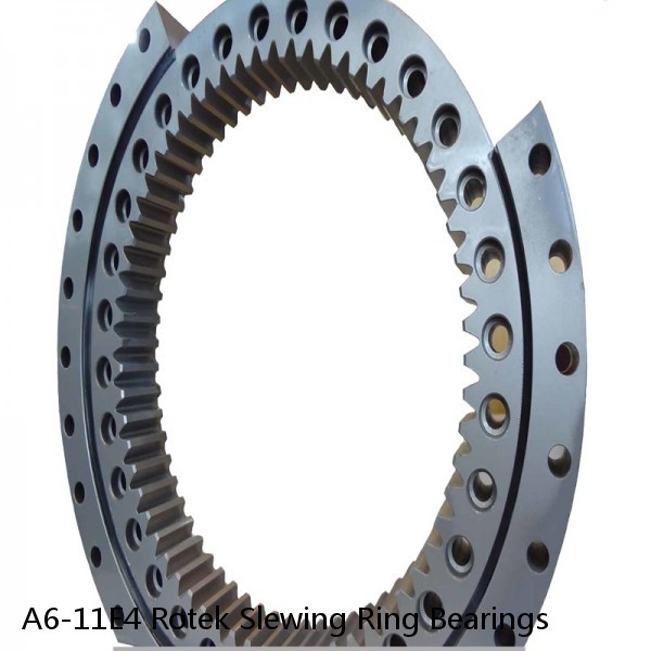 A6-11E4 Rotek Slewing Ring Bearings