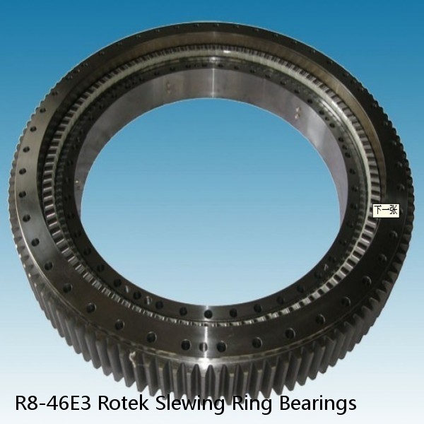 R8-46E3 Rotek Slewing Ring Bearings