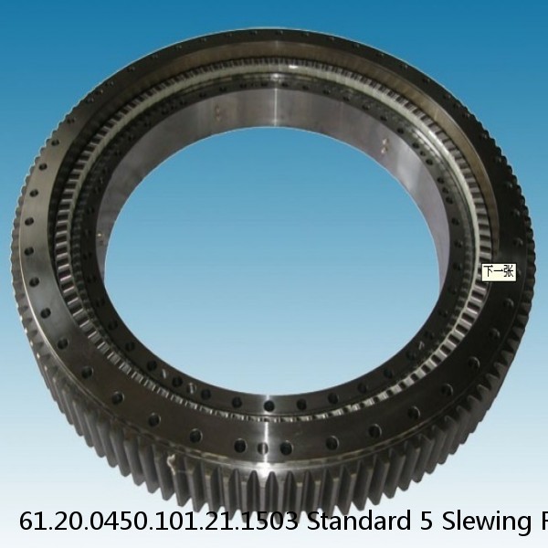 61.20.0450.101.21.1503 Standard 5 Slewing Ring Bearings