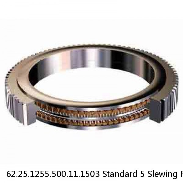 62.25.1255.500.11.1503 Standard 5 Slewing Ring Bearings